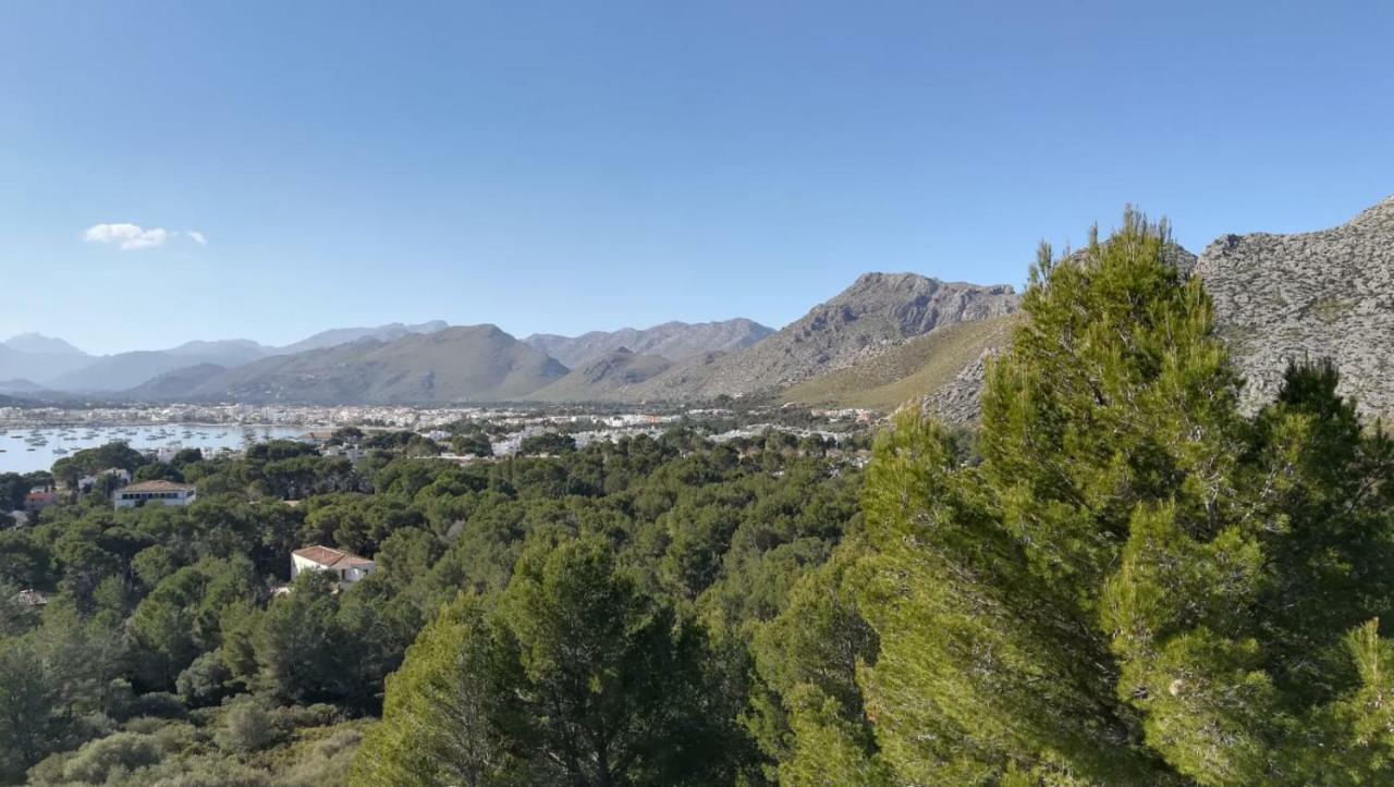 Apartamento Dalia Puerto Pollensa Exterior foto